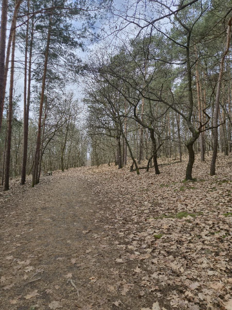 ForrestGroup tweet media