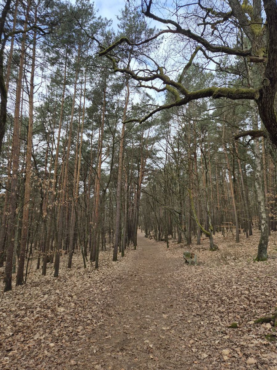 ForrestGroup tweet media