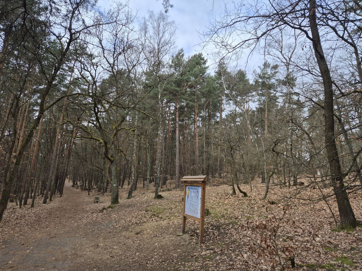 ForrestGroup tweet media