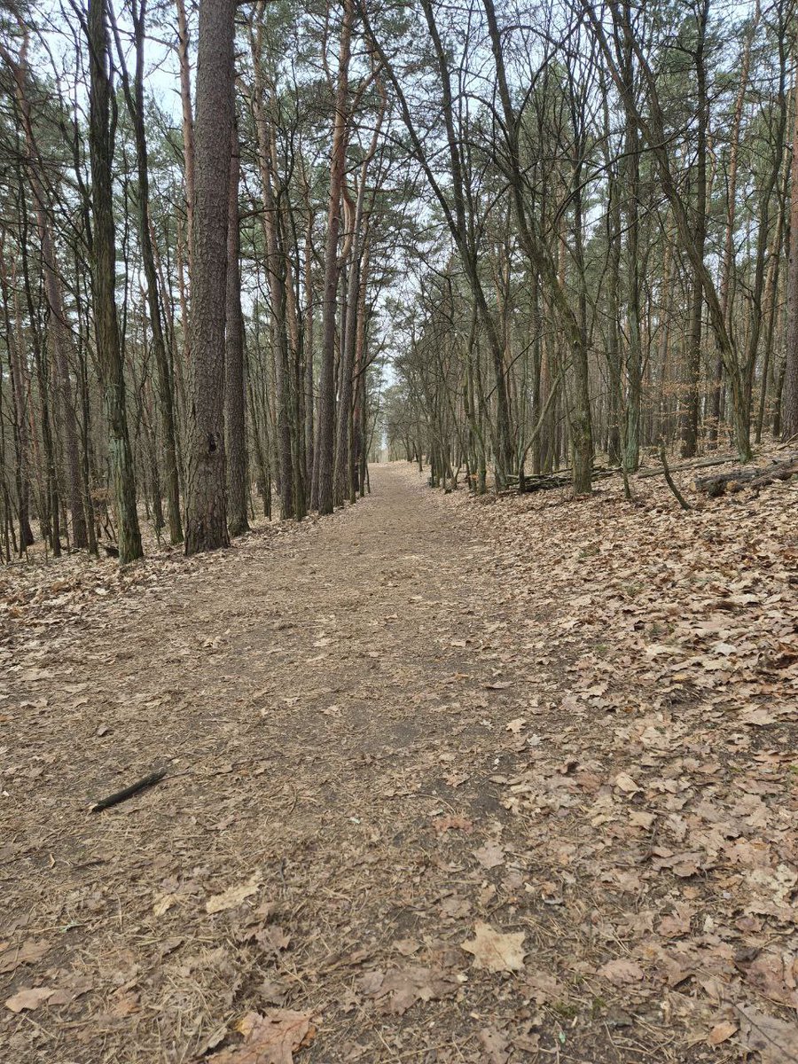 ForrestGroup tweet media