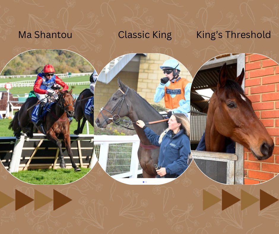 Emma Lavelle tweet media