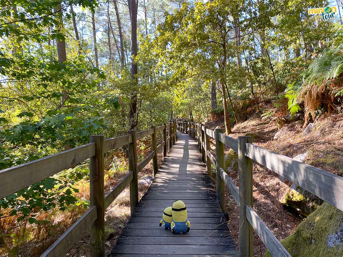 MiniOnTour tweet media