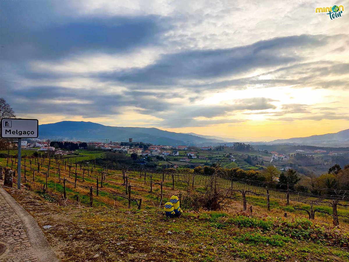 MiniOnTour tweet media