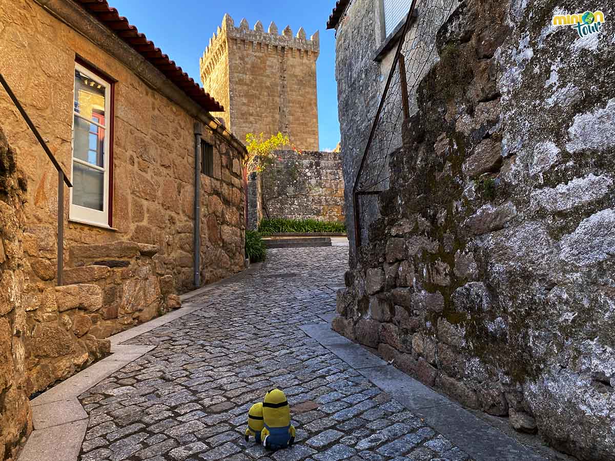 MiniOnTour tweet media