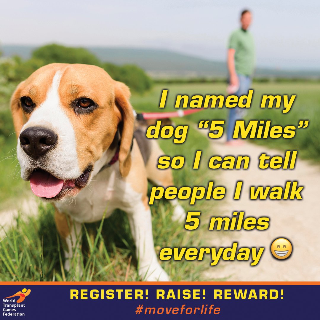 🐶 A little walking humour to keep us moving!

🚶 Join Step for Life:
 bit.ly/3OnkAwl 

🏃 Or join Run for Life:
 …un-for-life-challenge.raiselysite.com

#MoveForLife #StepForLife #RunForLife #WTGF #WalkMore #FurryFitness