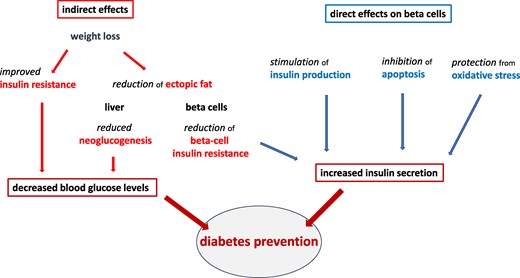 Obesity and Endocrinology tweet media