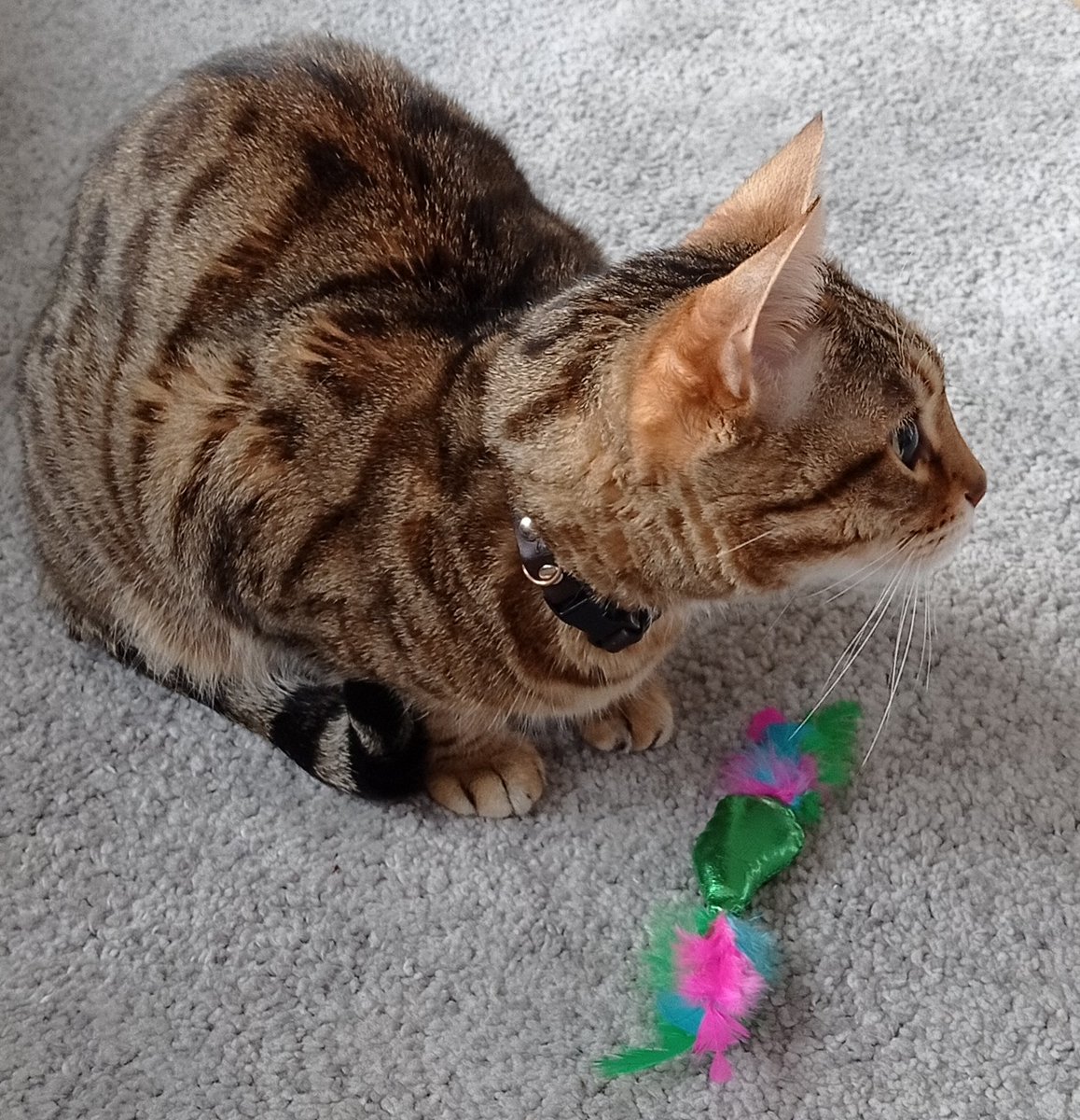 Ruby & Charlie tweet media