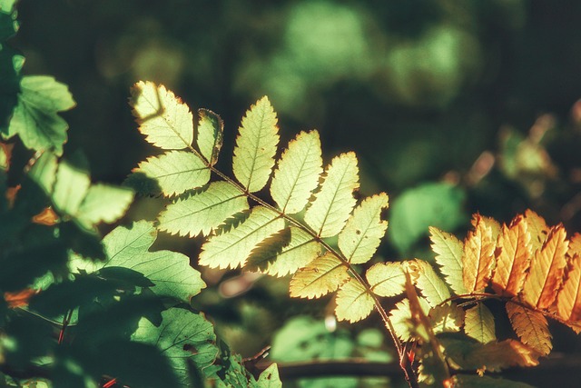 Jessica Lee tweet media