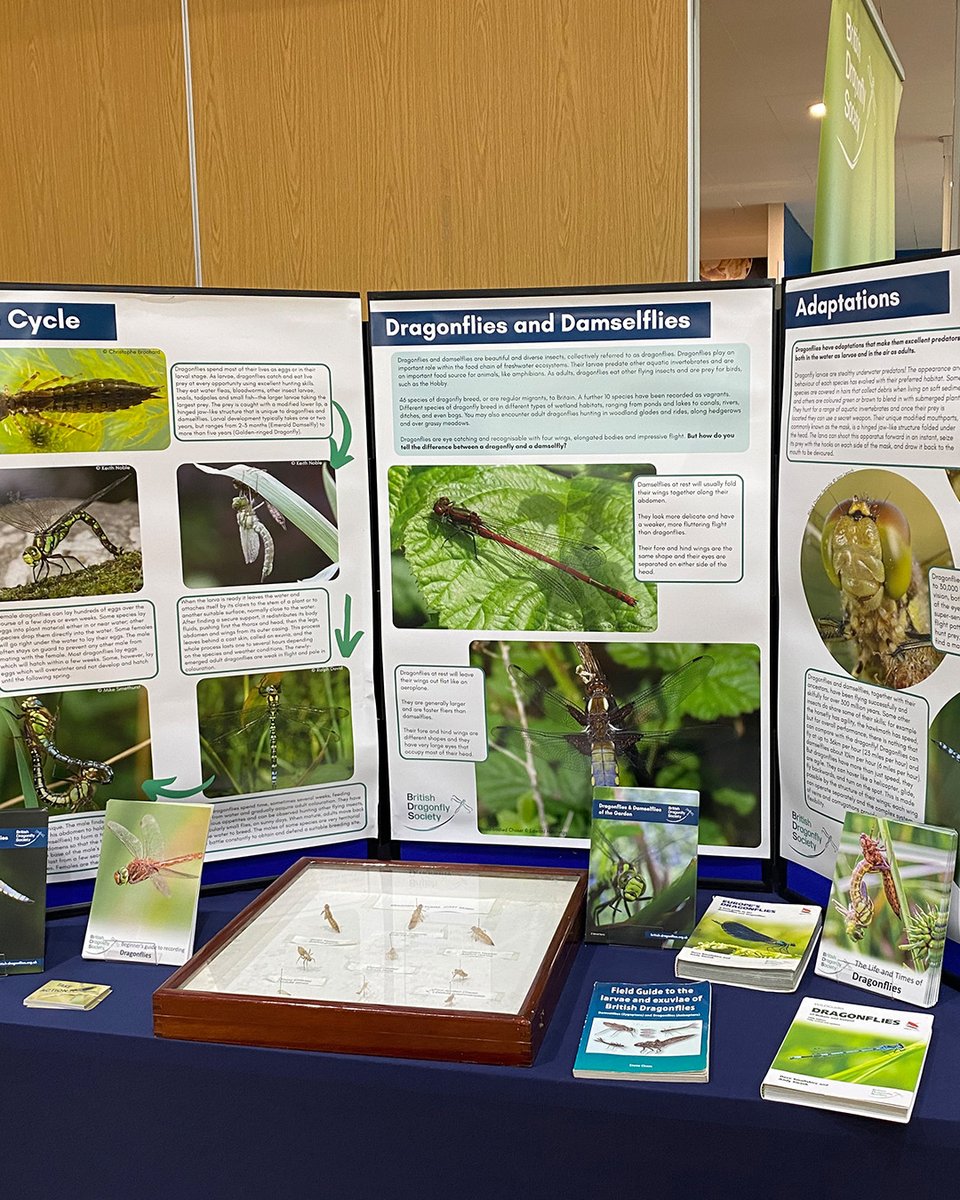 Baker Consultants - Ecology and Ecoacoustics tweet media