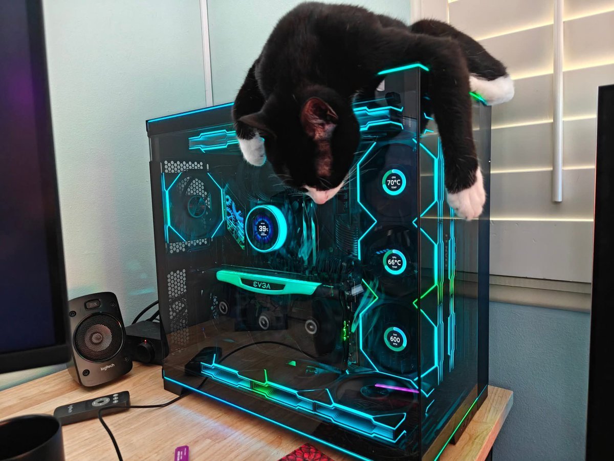 GlobalLianli's tweet image. New airflow supervisor has arrived. 🐱

Cr. Kurnia Ahim

#lianli #psu #build