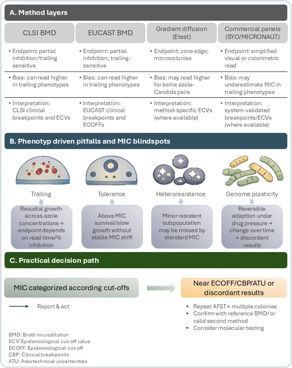 Wataru Hayashi / 林 航 tweet media