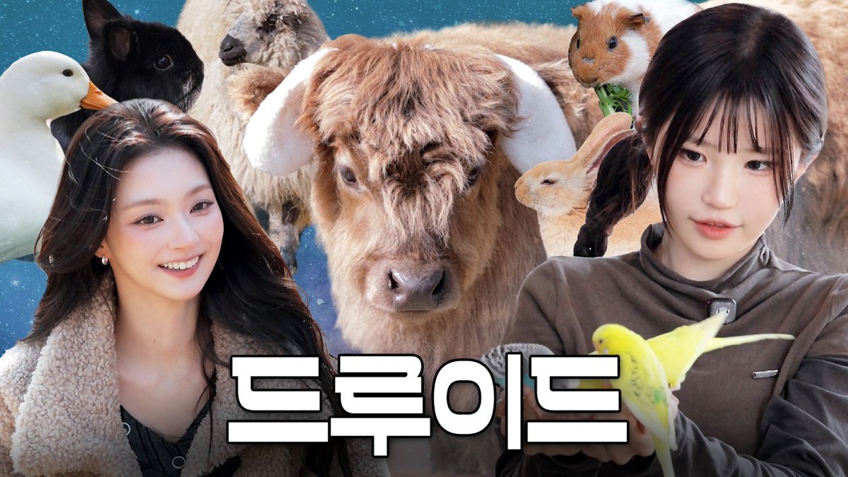 [📺] #스프
동물에게 둘러싸인 하영 나경을 봐 동물에게 둘러싸였어🐮ㅣ사육사 체험하면서 사심 다 채움

🖇️ youtu.be/E1k0TWHiL8c

#fromis_9 #프로미스나인 
#스튜디오프로미스나인
