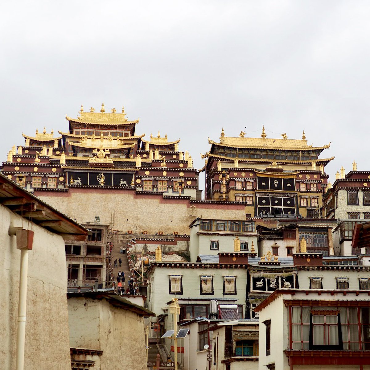 พวกอุทยานจีนคือที่สุด