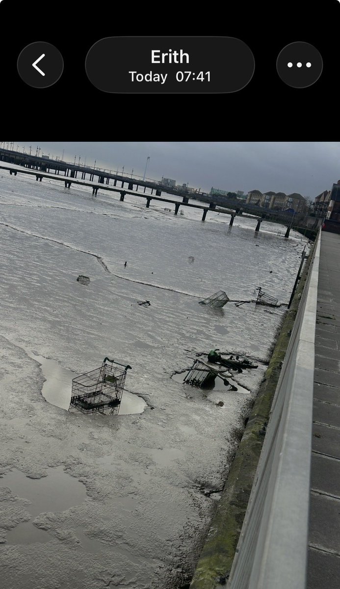 Dear <a href="/Morrisons/">Morrisons</a> this morning I took a walk along the river Thames at Erith in a 2k stretch I counted 40 of your trolleys dumped in the river! Now don’t get all lardy dar about how you did not put them there, but it would be a nice gesture if you could remove them. Thank you.