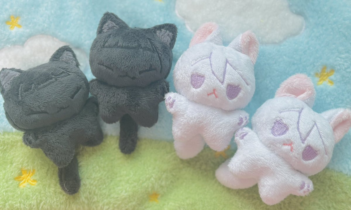 릴리피피🎀 tweet media