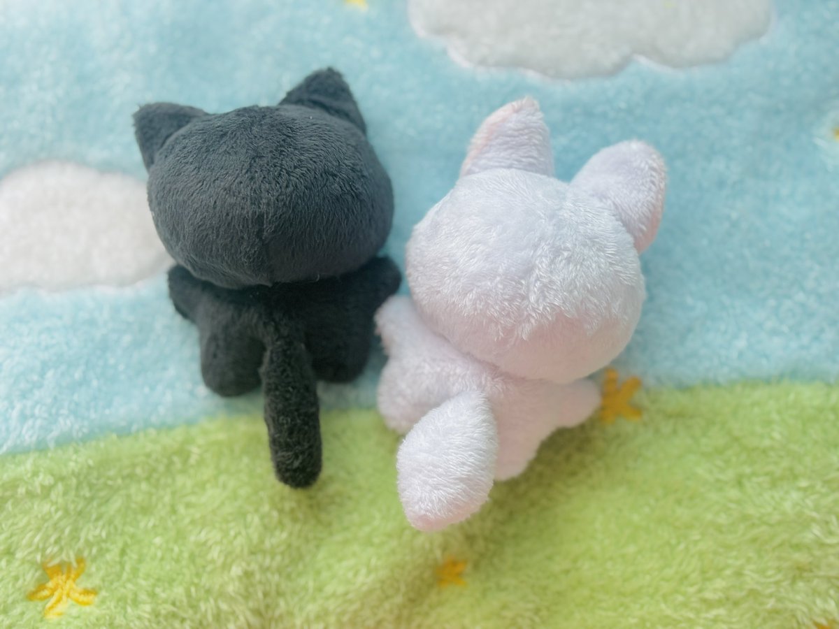 릴리피피🎀 tweet media