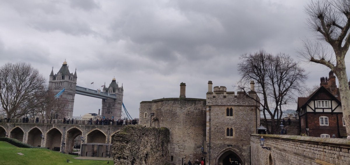 Fidesium tweet media