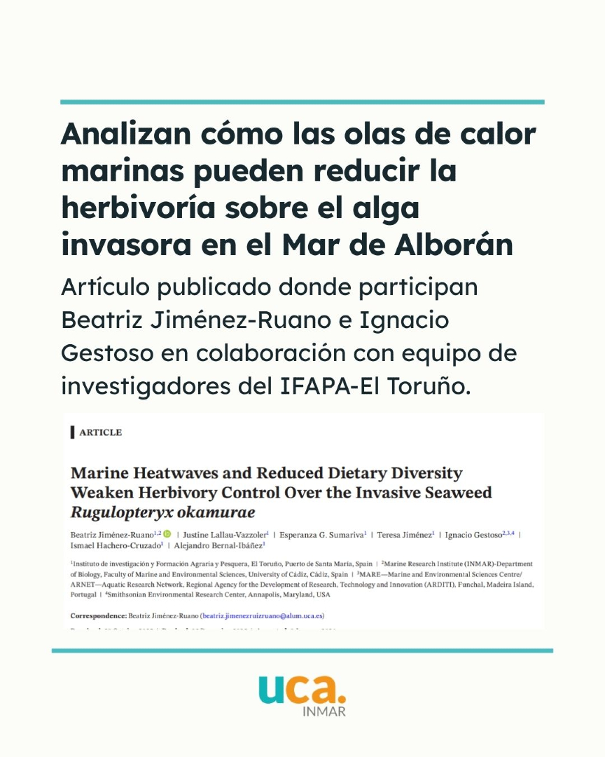 inmar_uca's tweet photo. 🐟 Nuevo artículo científico titulado: Marine Heatwaves and Reduced Dietary Diversity
Weaken Herbivory Control Over the Invasive Seaweed “Rugulopteryx okamurae”

#INMAR #Divulgación #Investigación #AlgaInvasora #OlasDeCalor https://t.co/iUxEAN9SbF