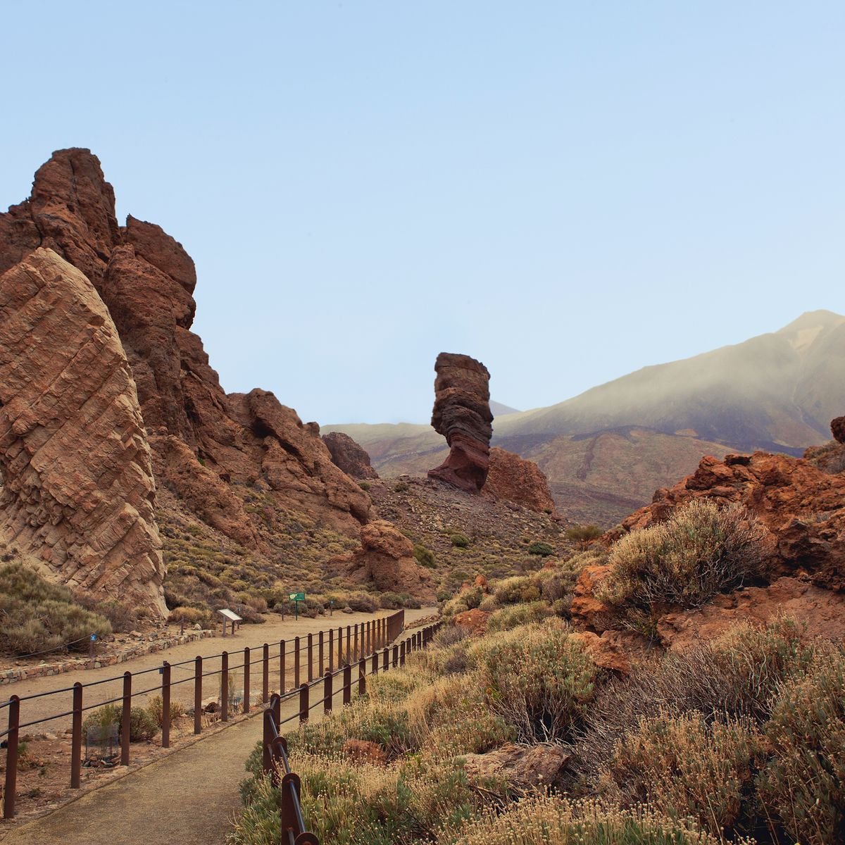 Pablo | Alto Rendimiento Real tweet media