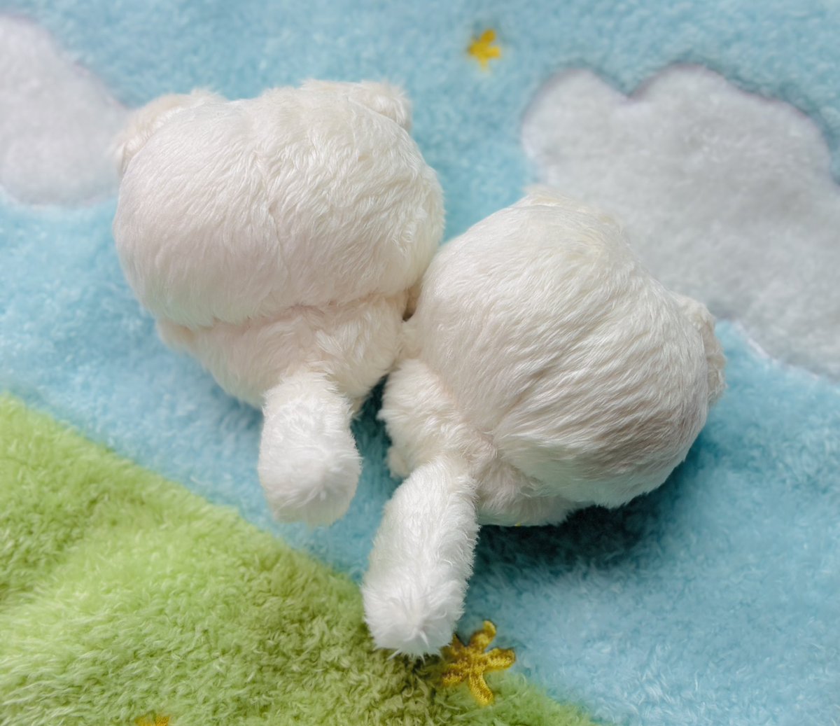 릴리피피🎀 tweet media