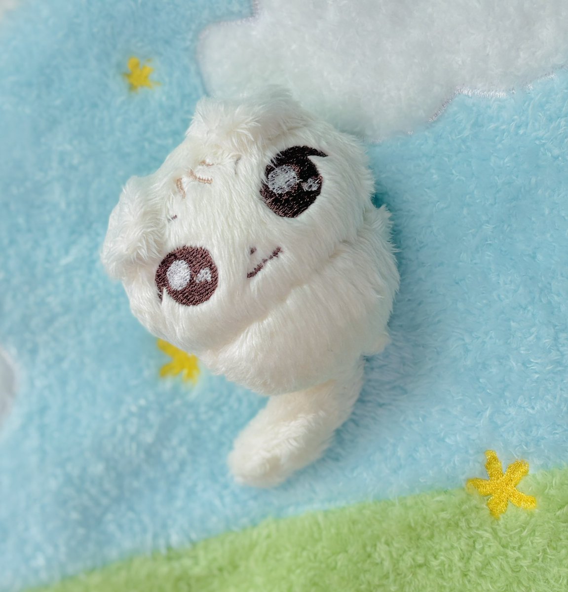 릴리피피🎀 tweet media