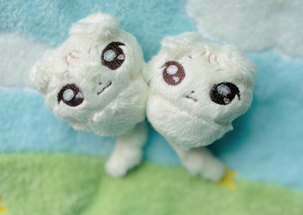 릴리피피🎀 tweet media