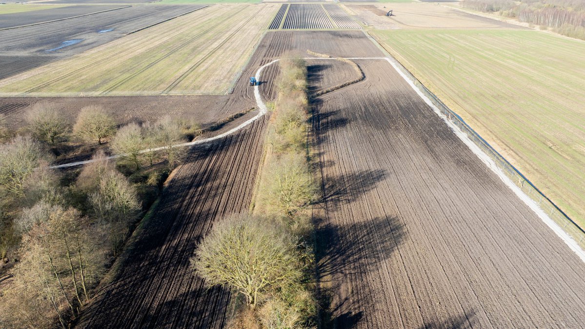 Prolander tweet media