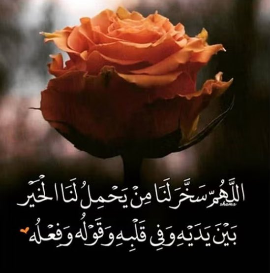 د. نجوى عابد الثقفي tweet media