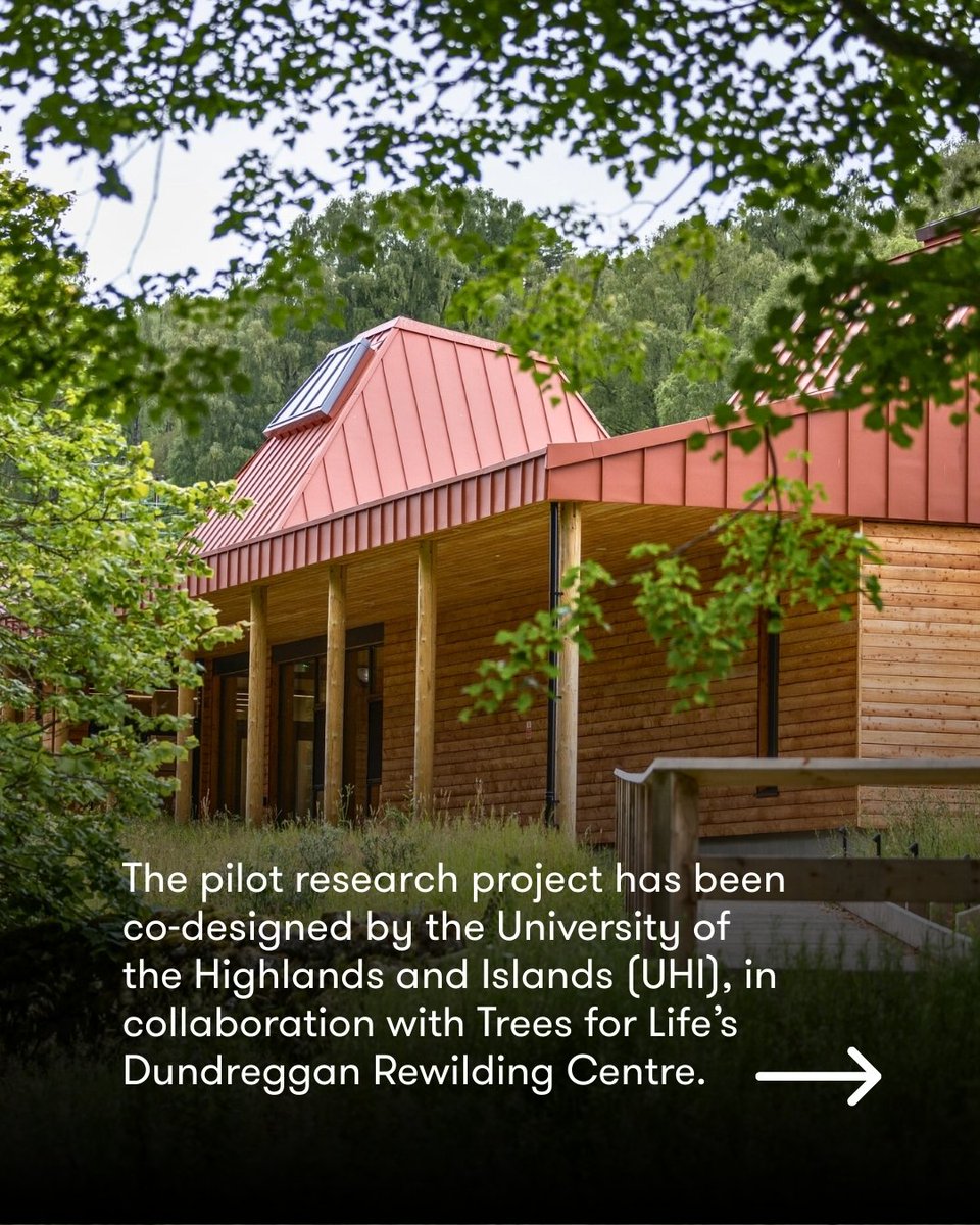 Trees for Life tweet media