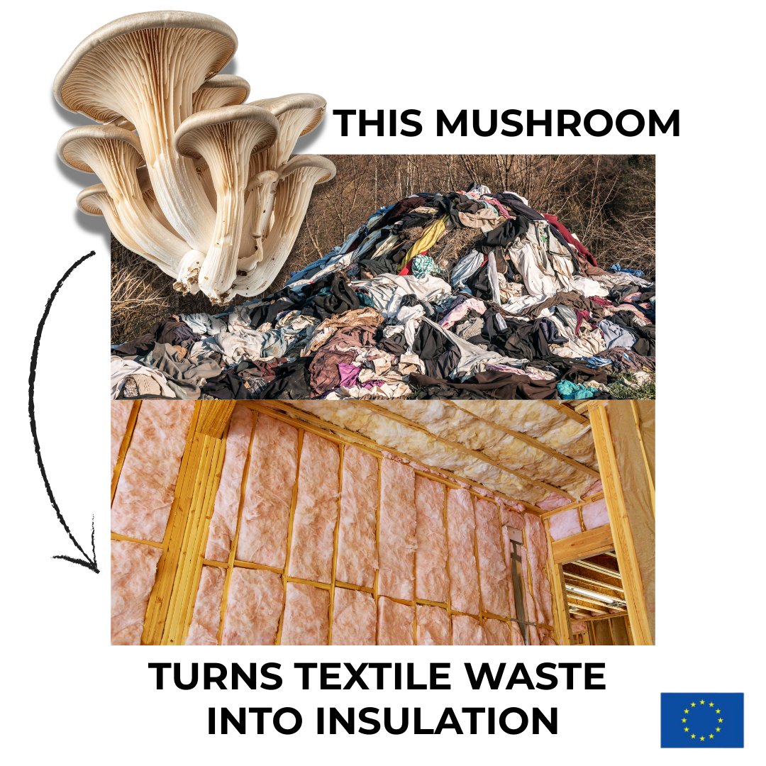 EU Environment tweet media