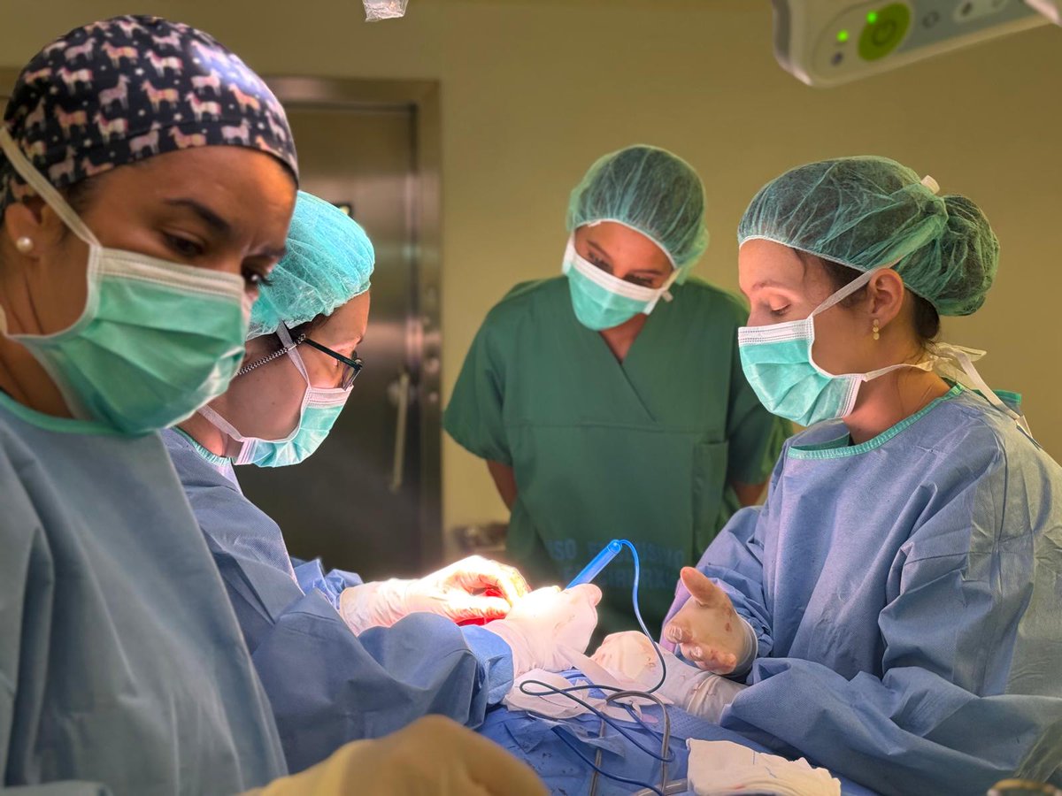 UNED Ourense tweet media