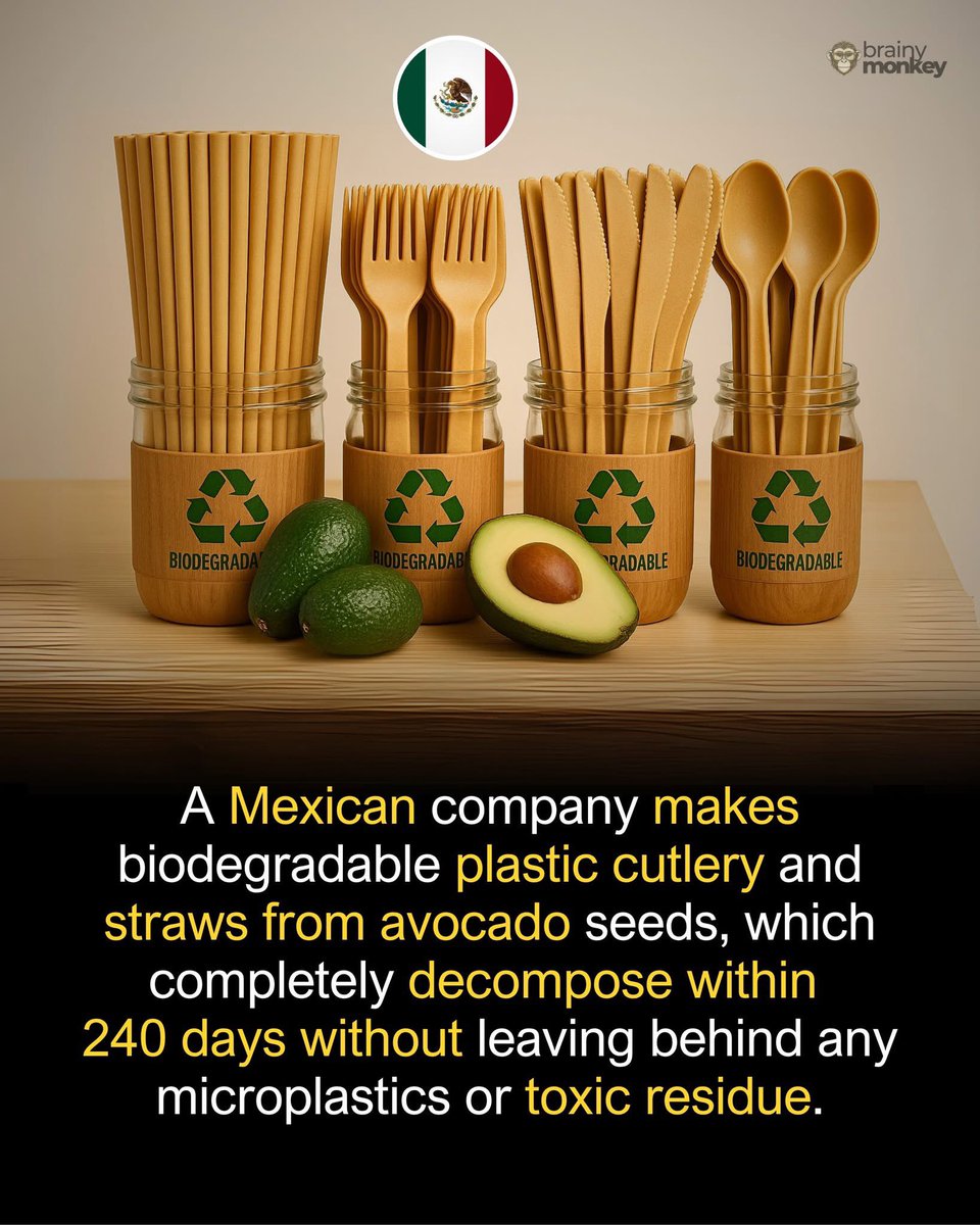 exportfarm's tweet photo. A Mexican company, BioFase, is turning avocado seeds into biodegradable cutlery and straws. 🥑

We need more innovations like this. https://t.co/hSYrAKqde9