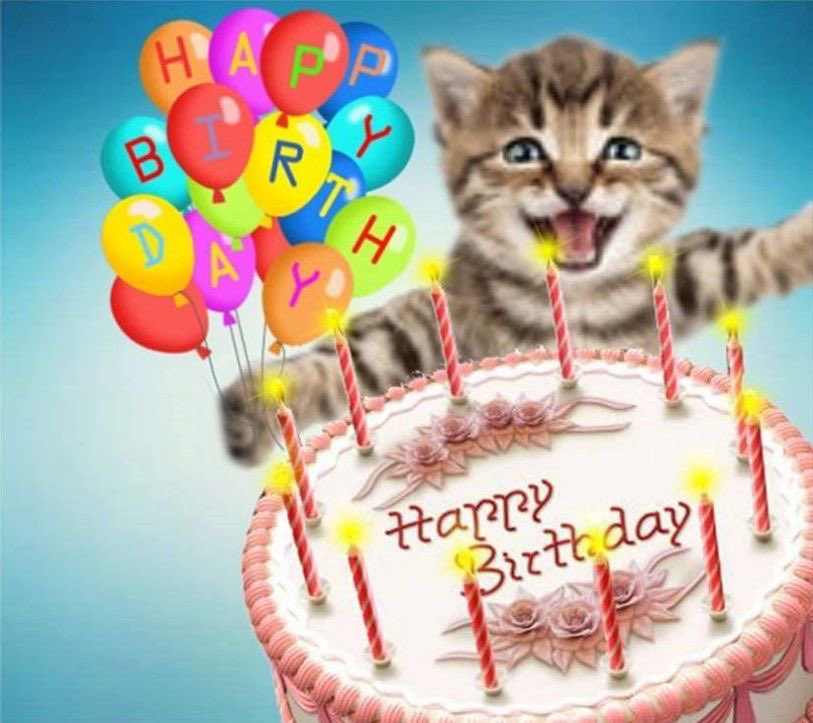 mel (nao a trovi) tweet media