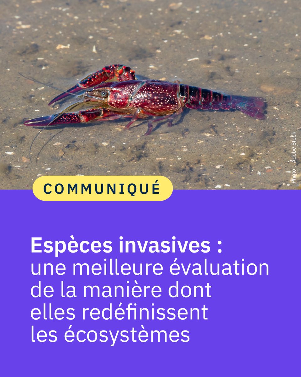 CNRS 🌍 tweet media