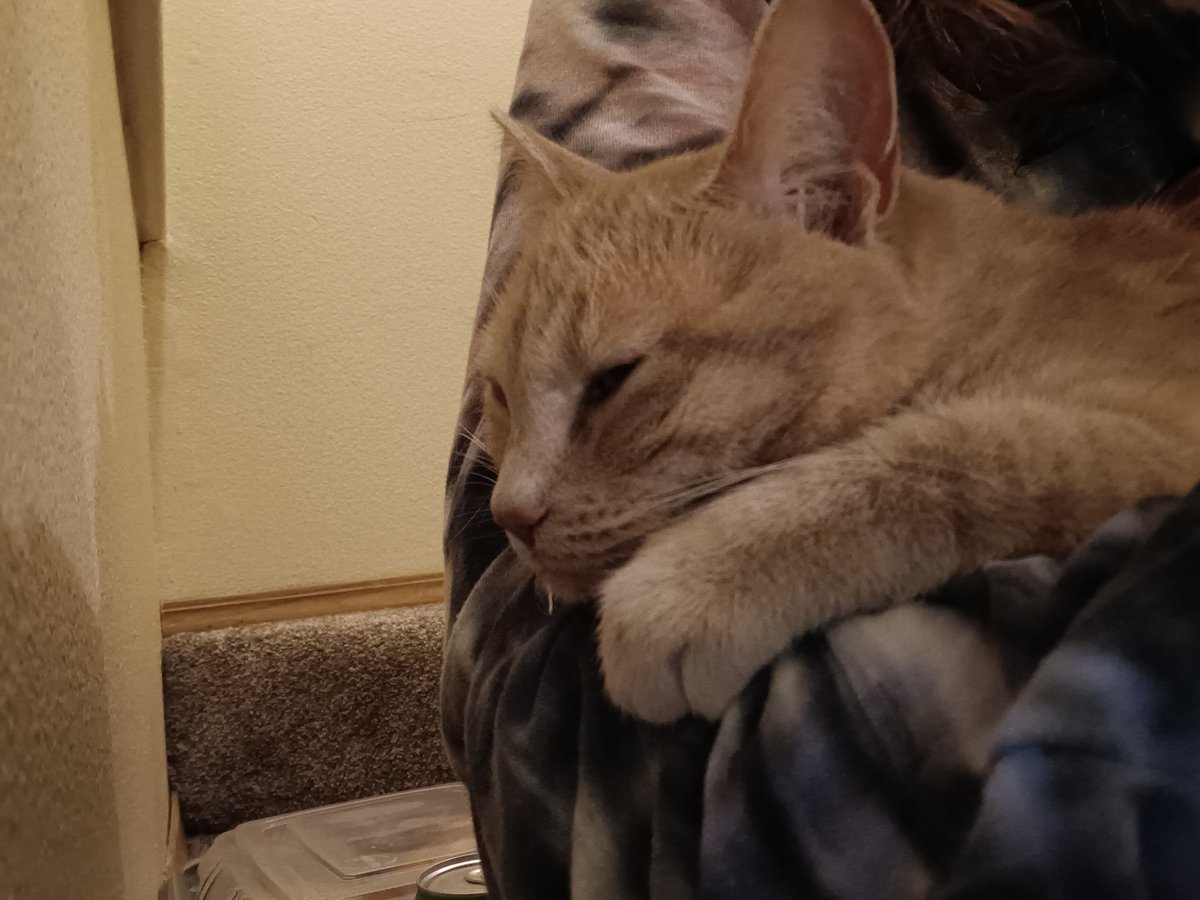 💜Bee💜 tweet media