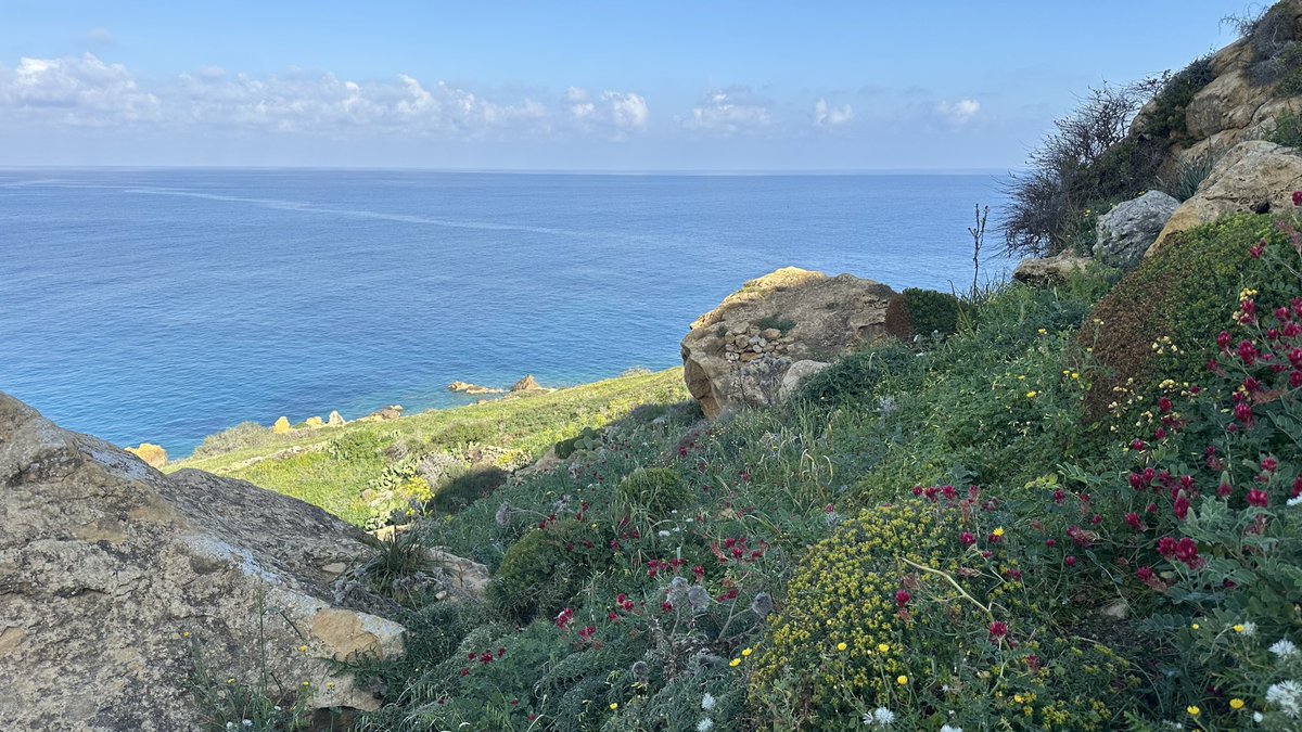 Mill3sim3 Permissionless ⚡️ tweet media