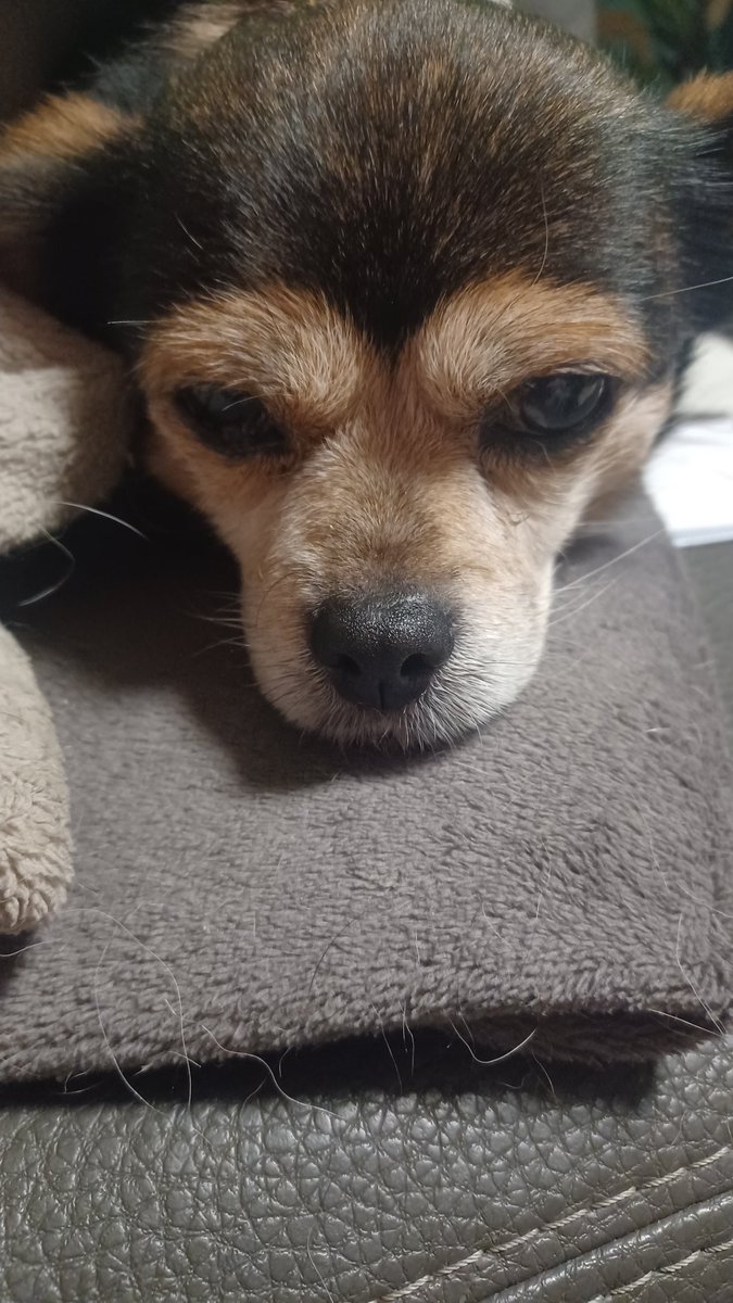 Minister Charlie +Assistentinnen tweet media