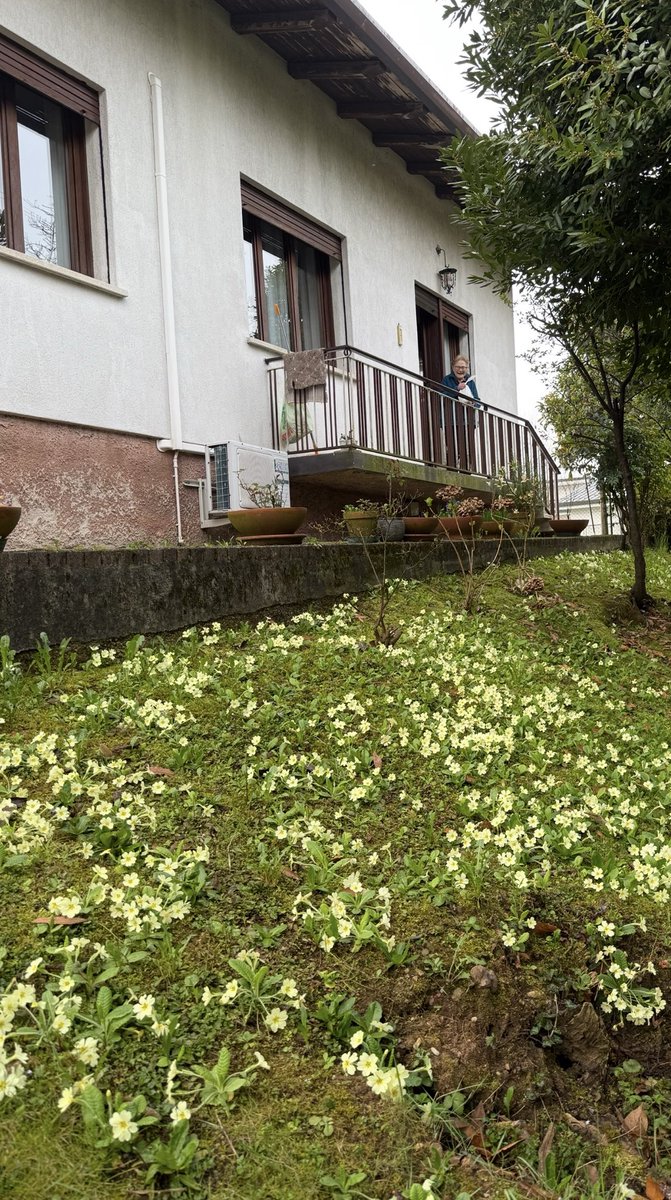 Aldo Serena tweet media