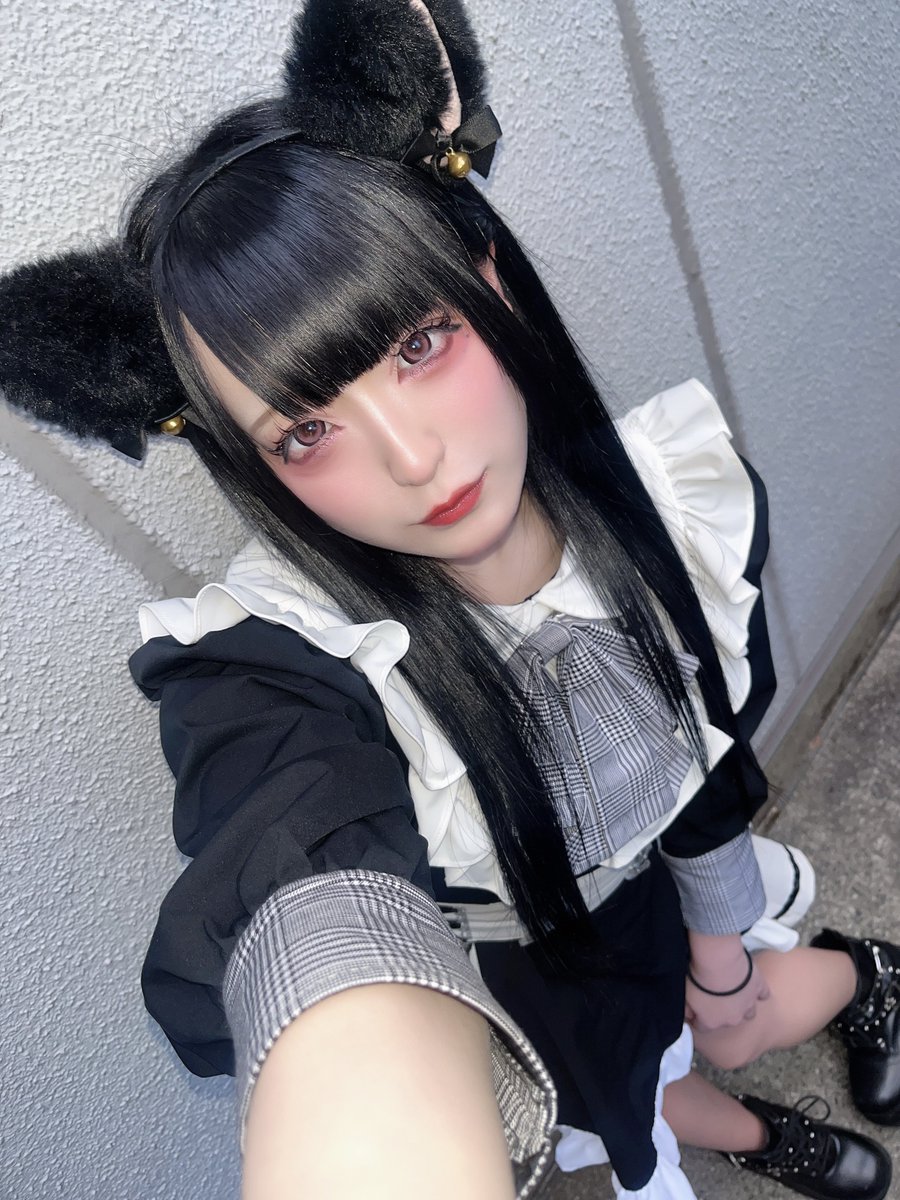 ねこちゃんがしゅっきんだよ〜〜〜〜