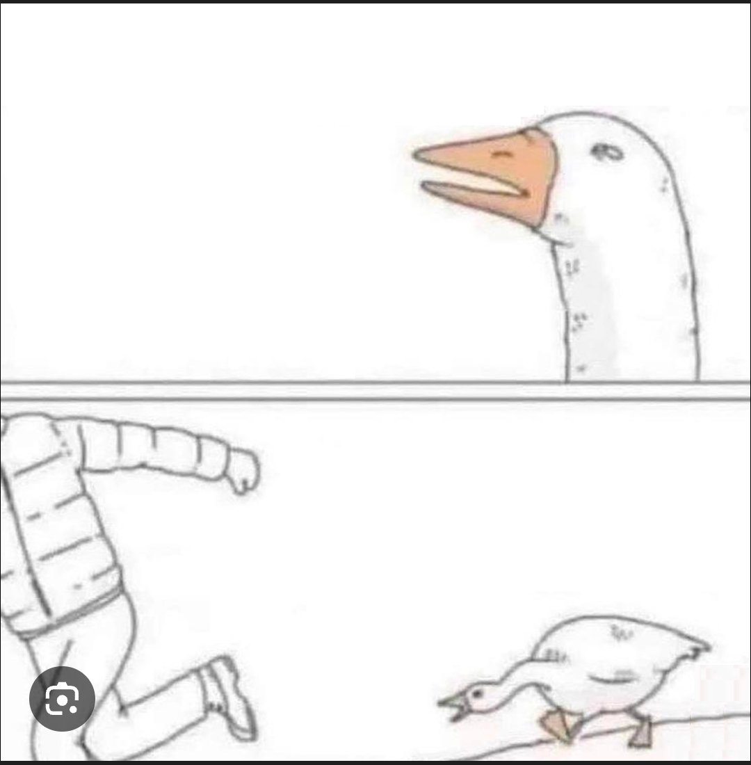 Ξxperience tweet media