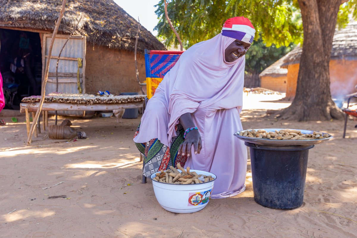 FAO au Niger tweet media