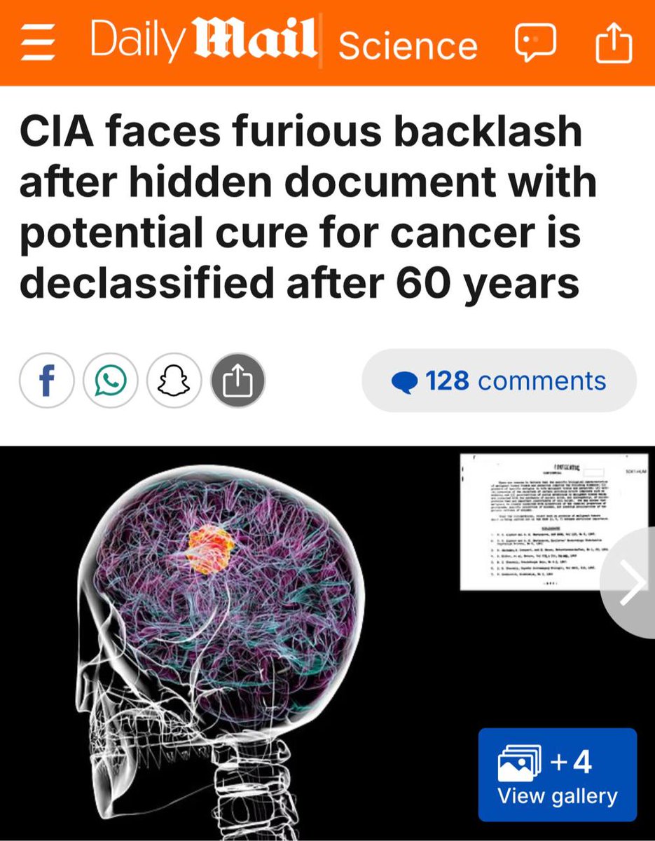 illuminatibot tweet media