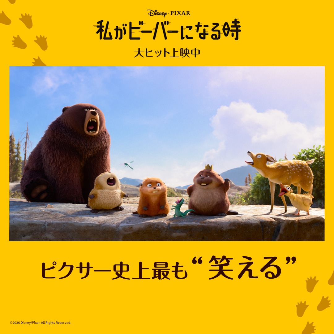 a💫ﾌﾟﾛｶ必読 tweet media