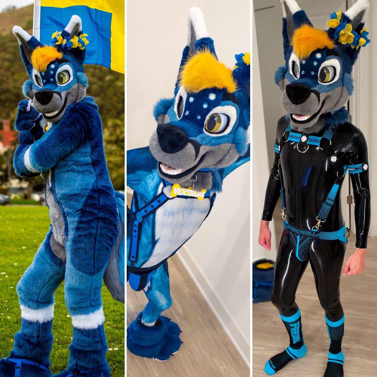 𝙑𝙚𝙭𝙩𝙧𝙪𝙢 💙 tweet media