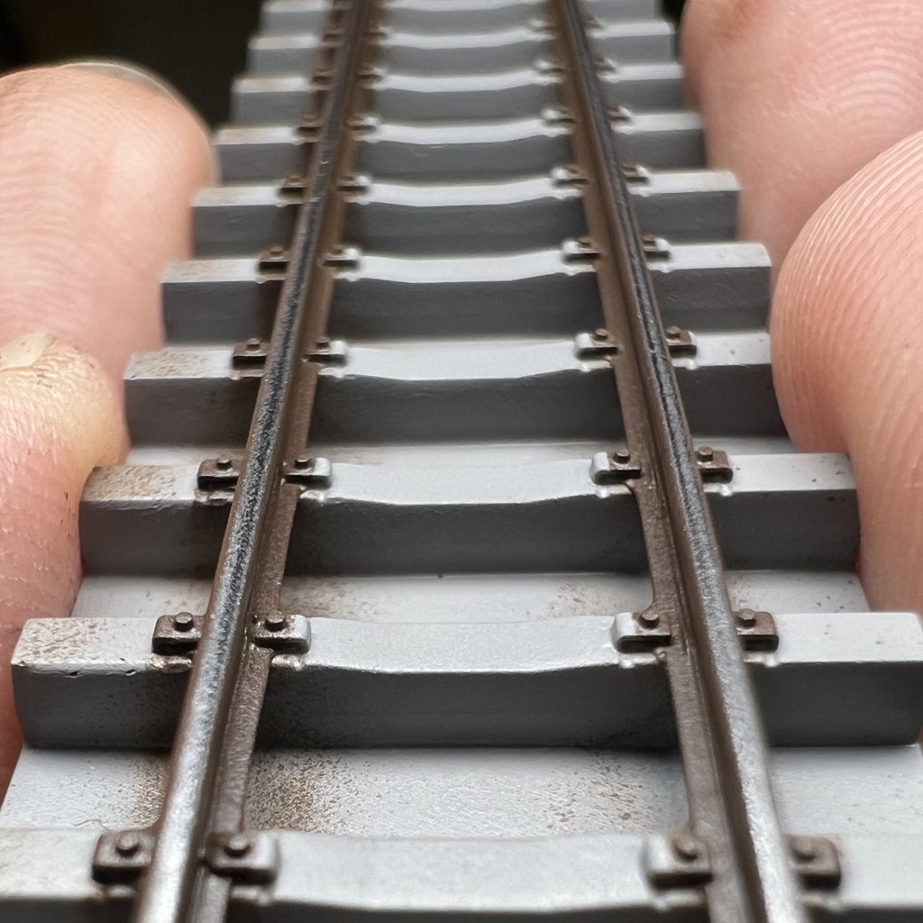 Akishoo Model tweet media