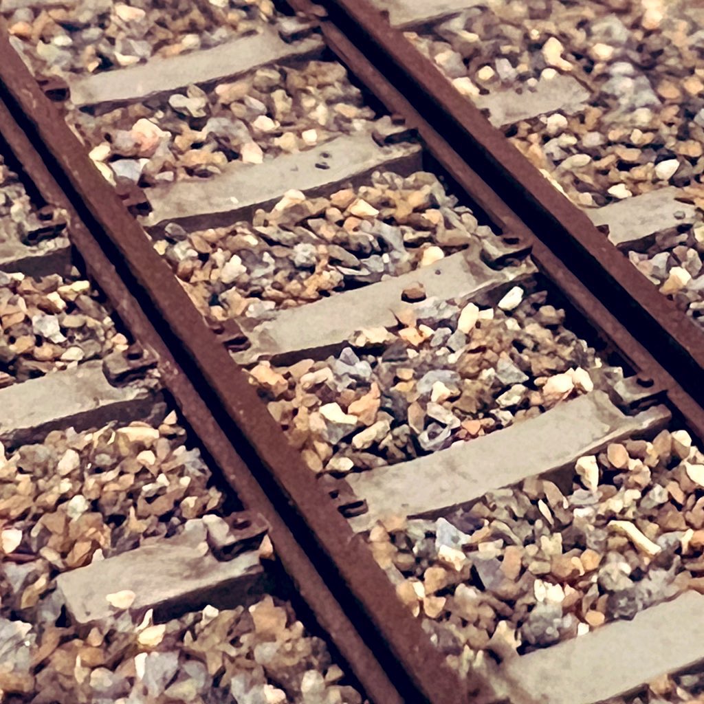 Akishoo Model tweet media