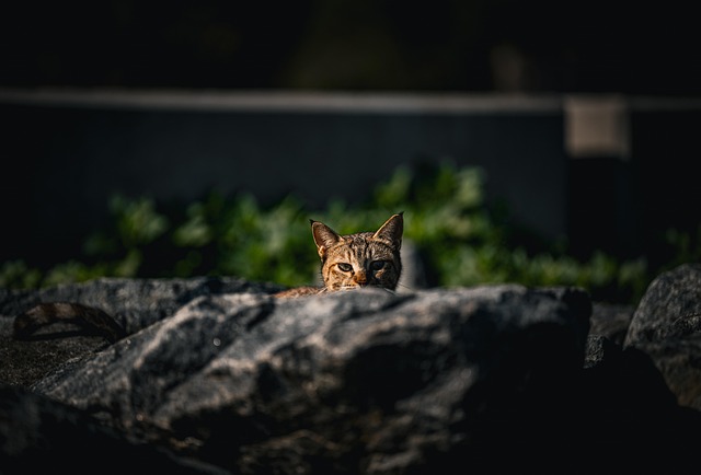 Connor Murphy tweet media