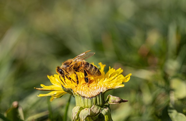 Sherrill Castner tweet media