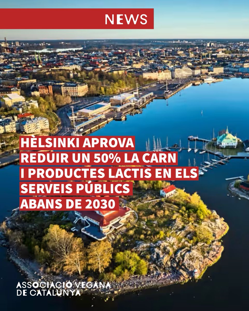 Hèlsinki reduirà un 50% la compra de carn i lactis en els serveis públics abans de 2030. La mesura augmentarà la presència d’aliments d’origen vegetal en escoles, hospitals i menjadors municipals. Un pas clar cap a sistemes alimentaris més sostenibles

#AssociacioVeganaCatalunya