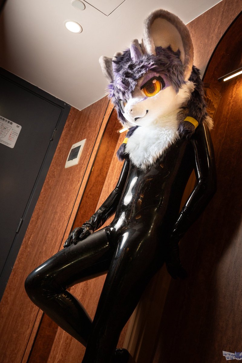 wifiswitch's tweet photo. rubber dragon https://t.co/nufqLQ63Hk